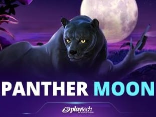 Panther Moon game icon
